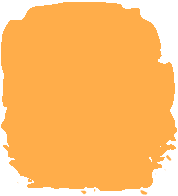 MARIGOLD MARIGOLD